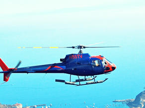 Catalina Tours New Partnerships