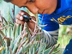 Kids in Nature photo