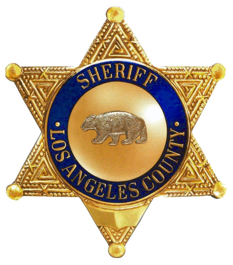 Keeping Avalon’s New Year’s Eve safe and sane