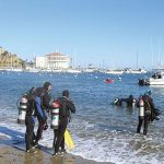 35th-annual-avalon-harbor-underwater-cleanup-1484694782348