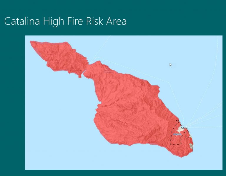 Council gets update on wildfire mitigation prep