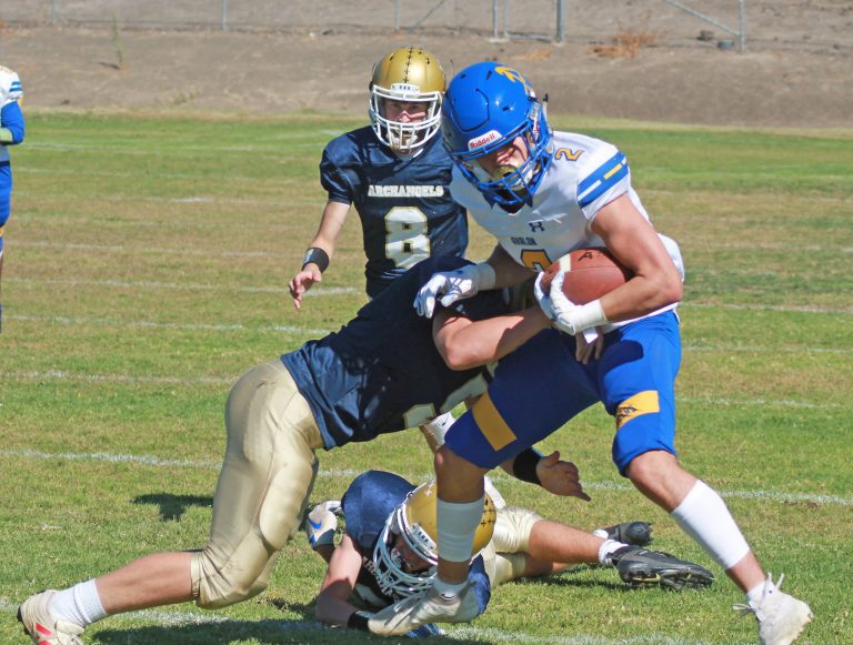 Big second half gives Avalon a win