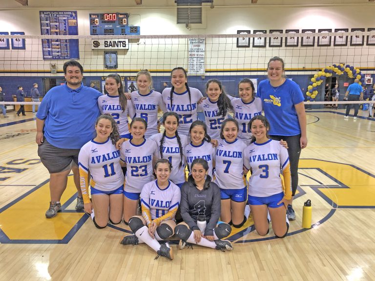 Girls volleyball team on to the semifinals