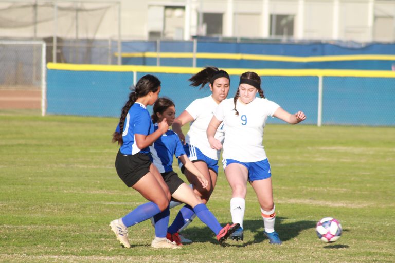 Soccer in Full Swing