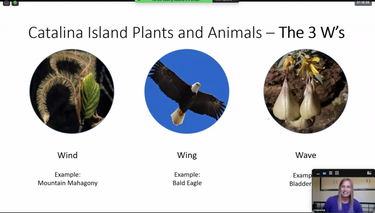 Conservancy shares passion for island with virtual summer camp