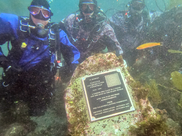 Cousteau Tribute gets needed upgrade