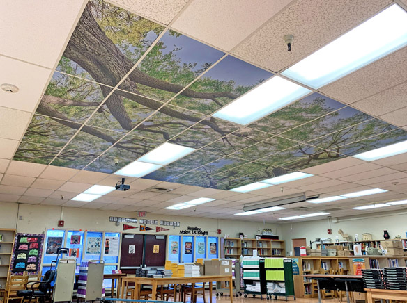 Painting Ceiling Tiles Classroom | Shelly Lighting