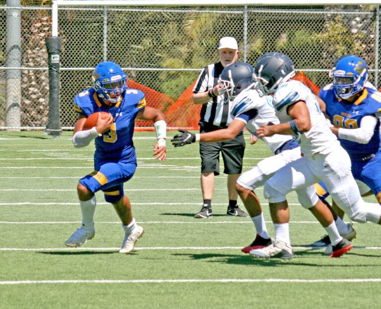 Lancers can’t overcome slow start in opener, fall to Dolphins