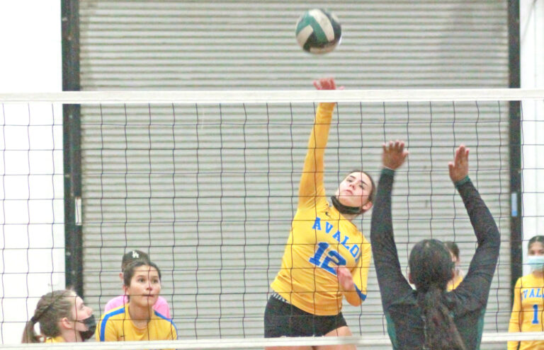 Lancers win Academy League title for 2021