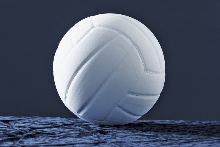 Avalon girls fall in state volleyball tournament