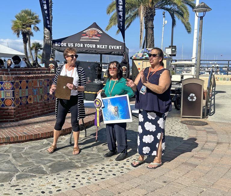 Catalina Festival of Art awards years’ top works