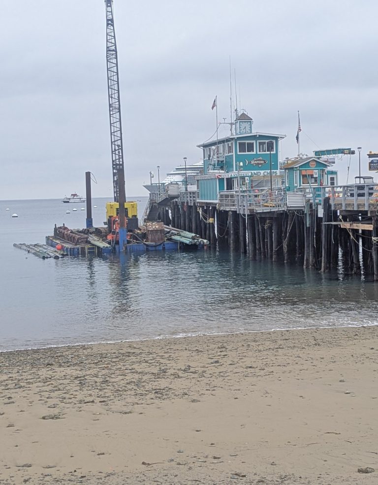 Pier piling work