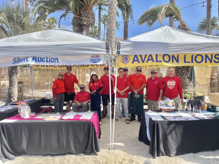 CIC, Avalon Lions 2025 Brewfest at Two Harbors