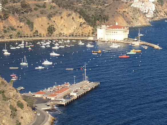 Avalon Harbor Report for July 2025