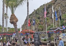 Avalon observes Veterans Day 2025