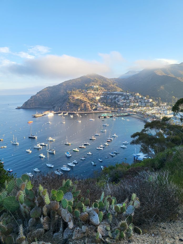 Photo by Stephen Weber A calm, but quite Avalon Bay pictured in December of 2024.