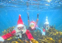 Scuba Santa spotted off Catalina