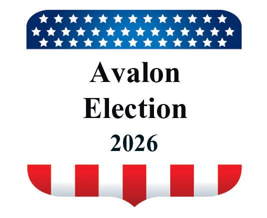 2026 City Council candidates named