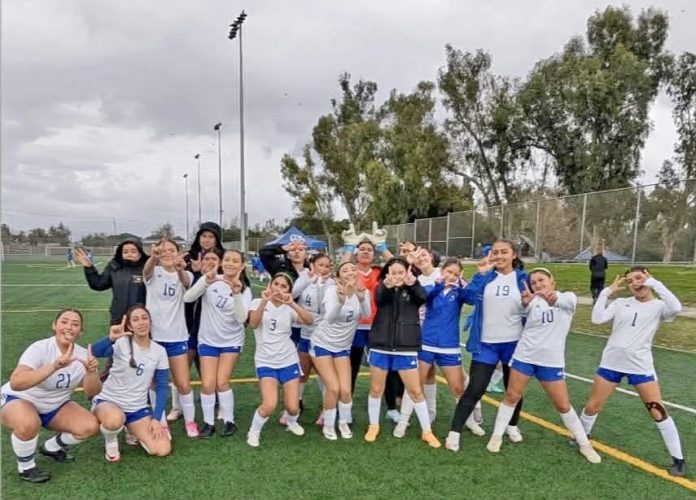 image-4338378083108503