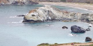 Hi-Tec Catalina Marathon sells out in record time