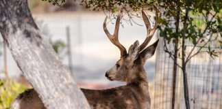 Conservancy seeks new community conversation after permit granted