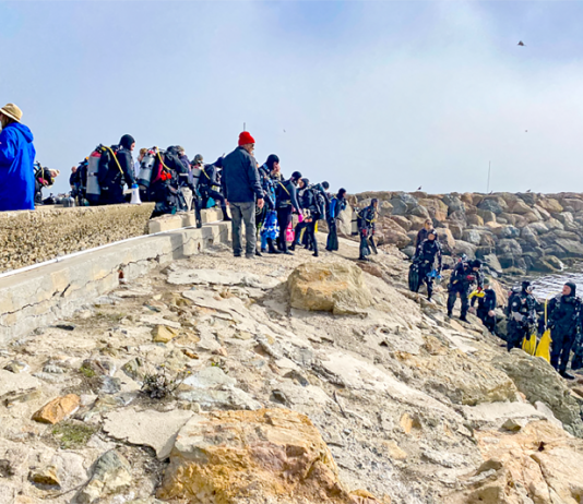 Caring for Avalon Harbor