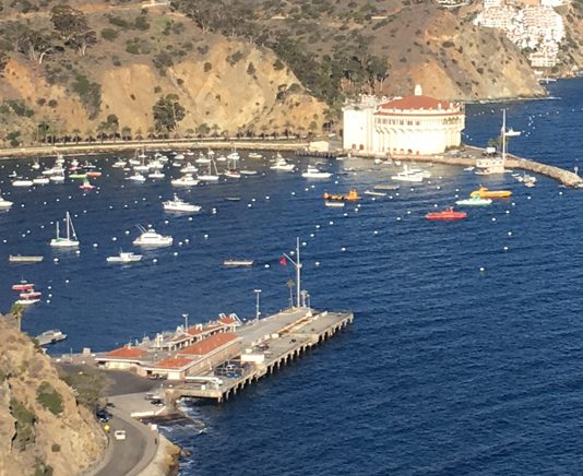Avalon Harbor Activity Report for February 2026