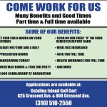 CI Golf Cart 300×250