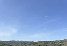 48th Catalina Island Marathon returns Saturday, March 14