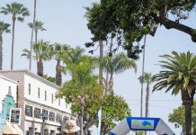 Catalina Marathon rated Top 10 in America by USA TODAY