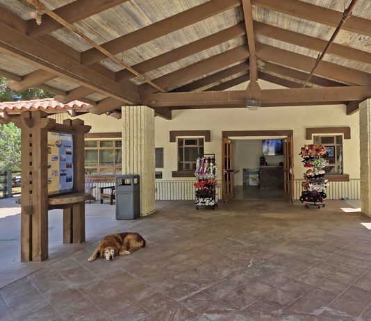 Catalina’s Adventure HQ opens its doors in Avalon