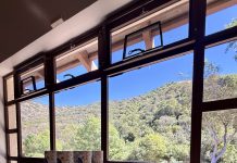 The Art, Process, and Design of Writing and Illustrating a Children’s Book