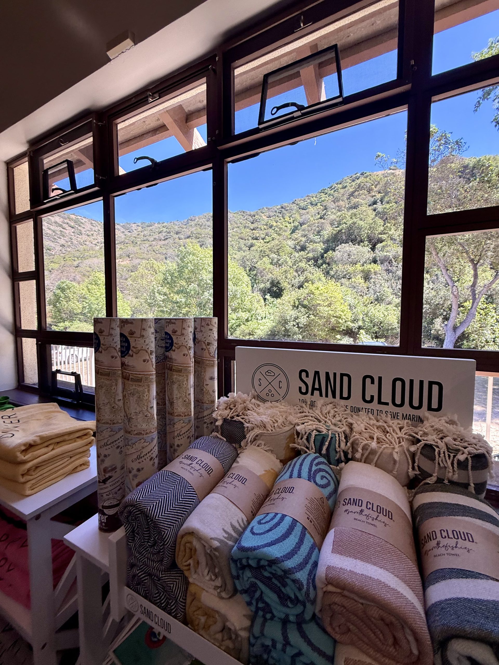 The Art, Process, and Design of Writing and Illustrating a Children’s Book