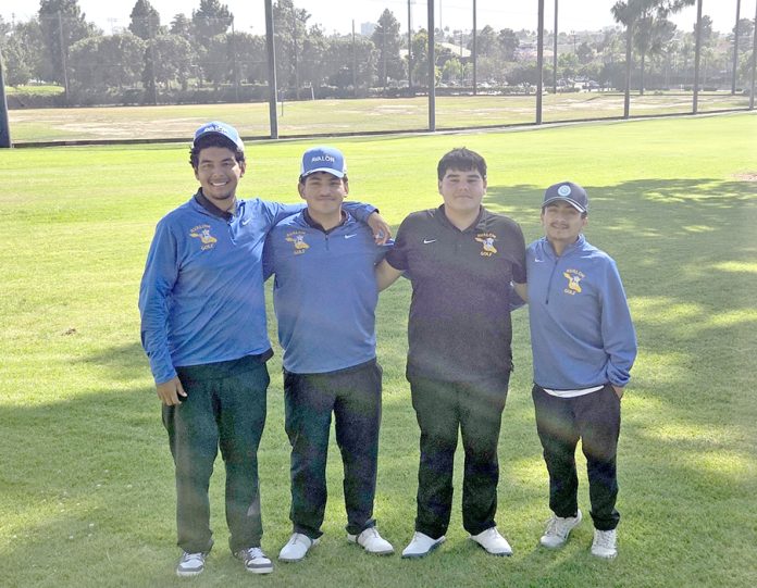 Bgolf2